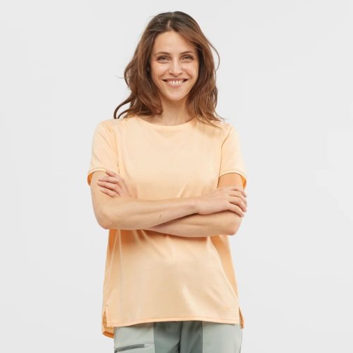 Apricot Salomon Outline Summer Short Sleeve Women's T-Shirts | IE AZ9503